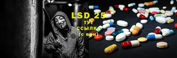 сатива Богданович