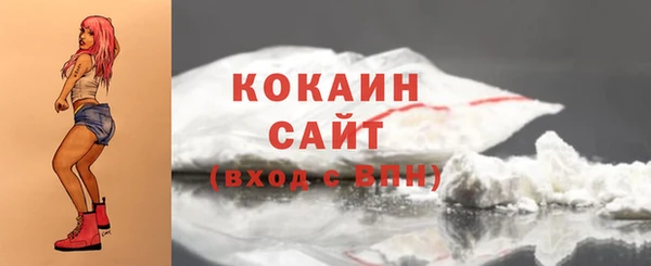apvp Богородск