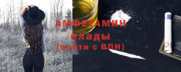 сатива Богданович
