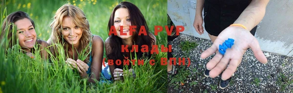 сатива Богданович