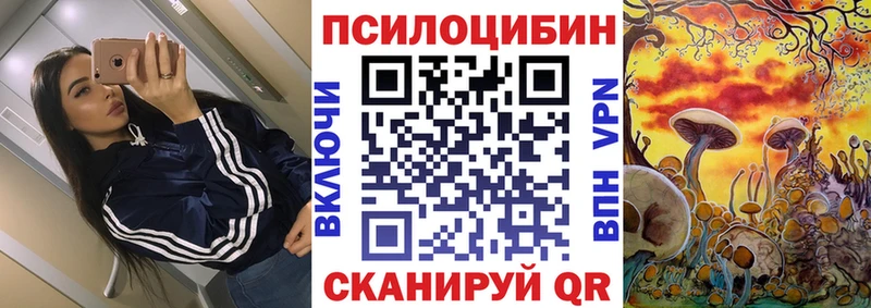 гидра зеркало Городец Галлюциногенные грибы Psilocybine cubensis