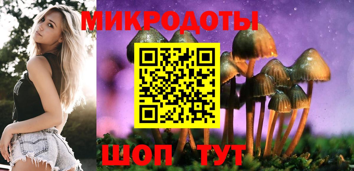 Городец  Псилоцибиновые грибы Psilocybe  дарнет шоп  Вход с VPN 