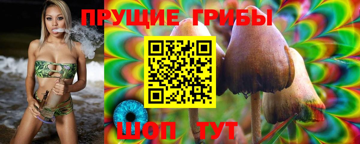 Псилоцибиновые грибы прущие грибы Городец